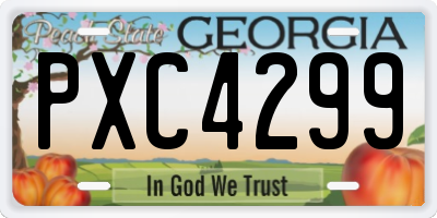 GA license plate PXC4299