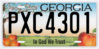 GA license plate PXC4301