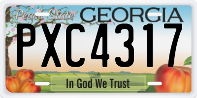 GA license plate PXC4317