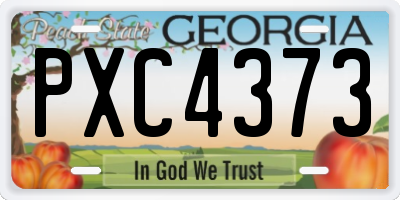 GA license plate PXC4373
