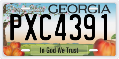 GA license plate PXC4391
