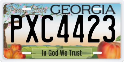 GA license plate PXC4423
