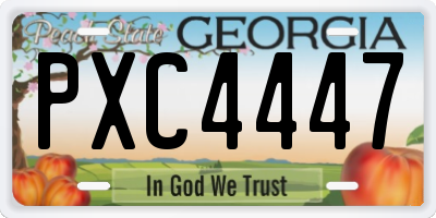 GA license plate PXC4447