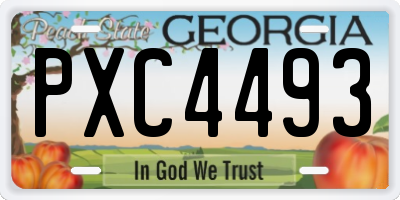 GA license plate PXC4493