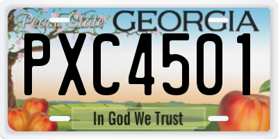 GA license plate PXC4501