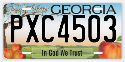 GA license plate PXC4503