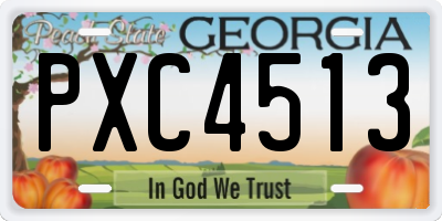 GA license plate PXC4513
