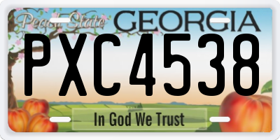 GA license plate PXC4538