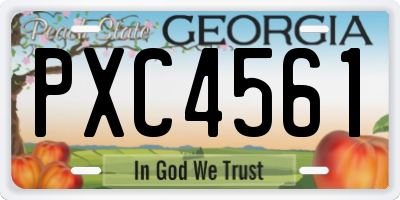 GA license plate PXC4561