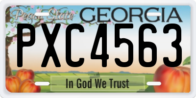 GA license plate PXC4563