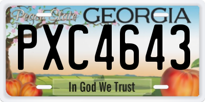 GA license plate PXC4643