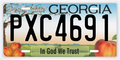 GA license plate PXC4691