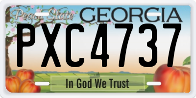 GA license plate PXC4737