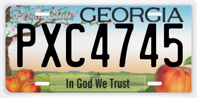 GA license plate PXC4745