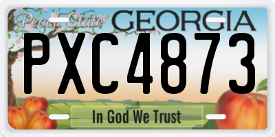 GA license plate PXC4873