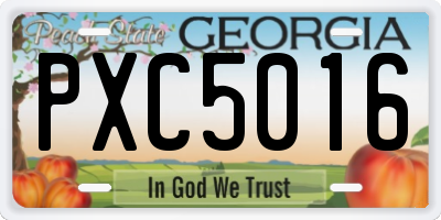 GA license plate PXC5016