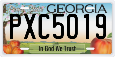 GA license plate PXC5019