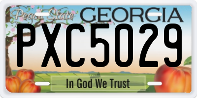 GA license plate PXC5029