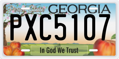 GA license plate PXC5107