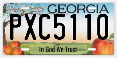 GA license plate PXC5110