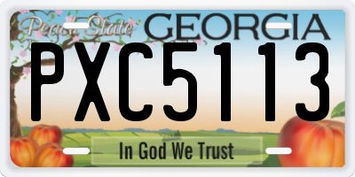 GA license plate PXC5113