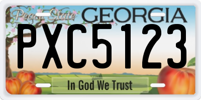 GA license plate PXC5123