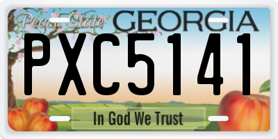 GA license plate PXC5141