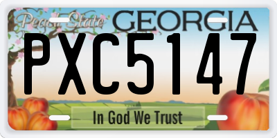 GA license plate PXC5147