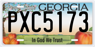 GA license plate PXC5173
