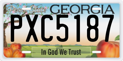 GA license plate PXC5187