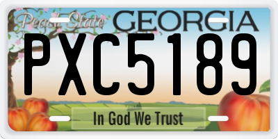 GA license plate PXC5189