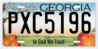 GA license plate PXC5196