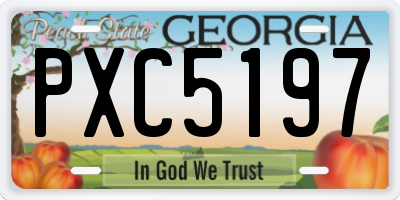 GA license plate PXC5197