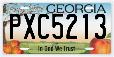 GA license plate PXC5213