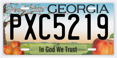 GA license plate PXC5219