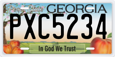 GA license plate PXC5234