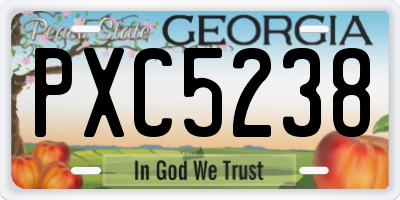 GA license plate PXC5238