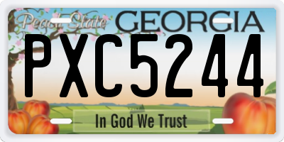 GA license plate PXC5244