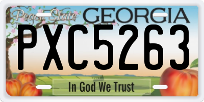 GA license plate PXC5263