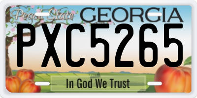 GA license plate PXC5265
