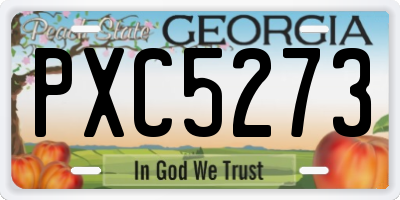 GA license plate PXC5273