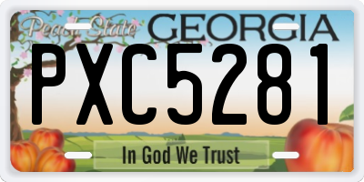 GA license plate PXC5281