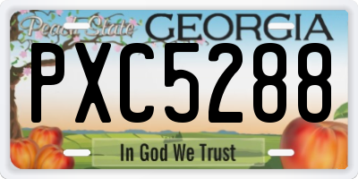 GA license plate PXC5288