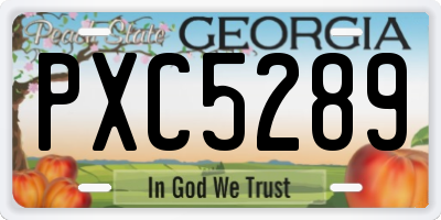 GA license plate PXC5289
