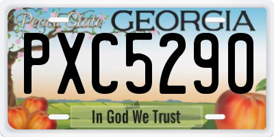 GA license plate PXC5290
