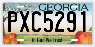 GA license plate PXC5291
