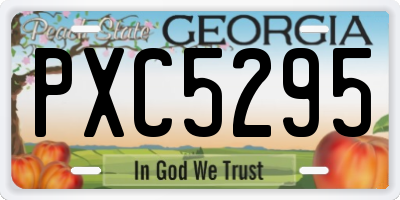 GA license plate PXC5295