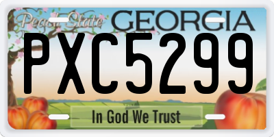 GA license plate PXC5299