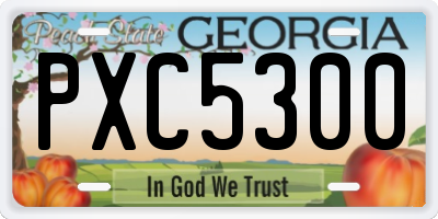 GA license plate PXC5300