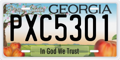 GA license plate PXC5301